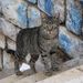 20081122_barcelonatrip_22_tarragona_cat